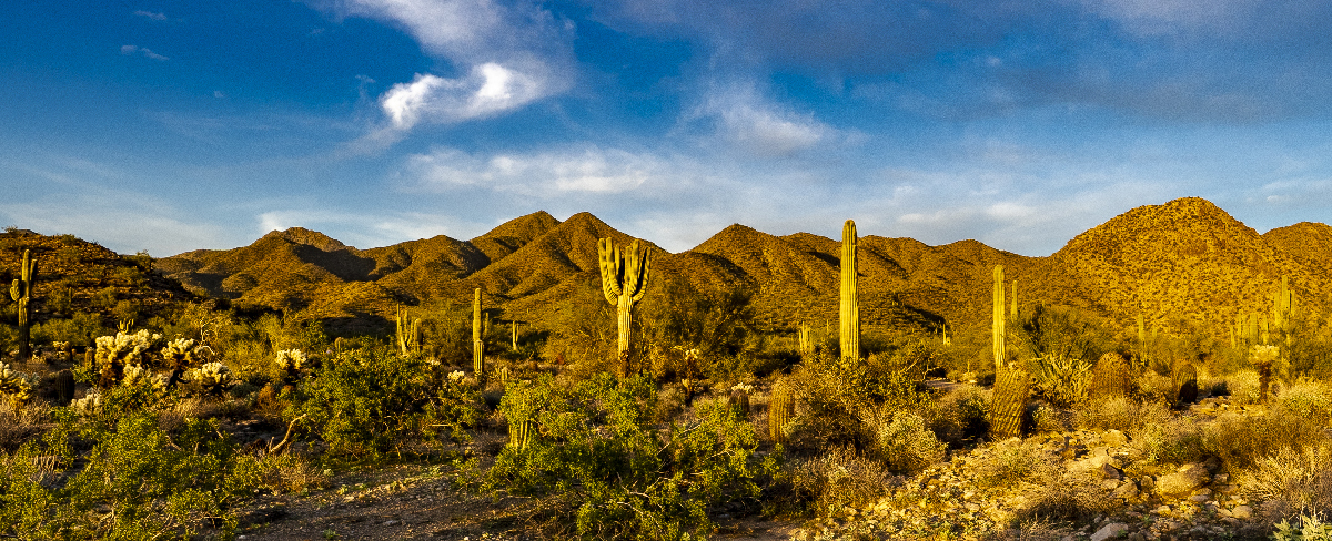 Mapa de cobertura rural en Baja California